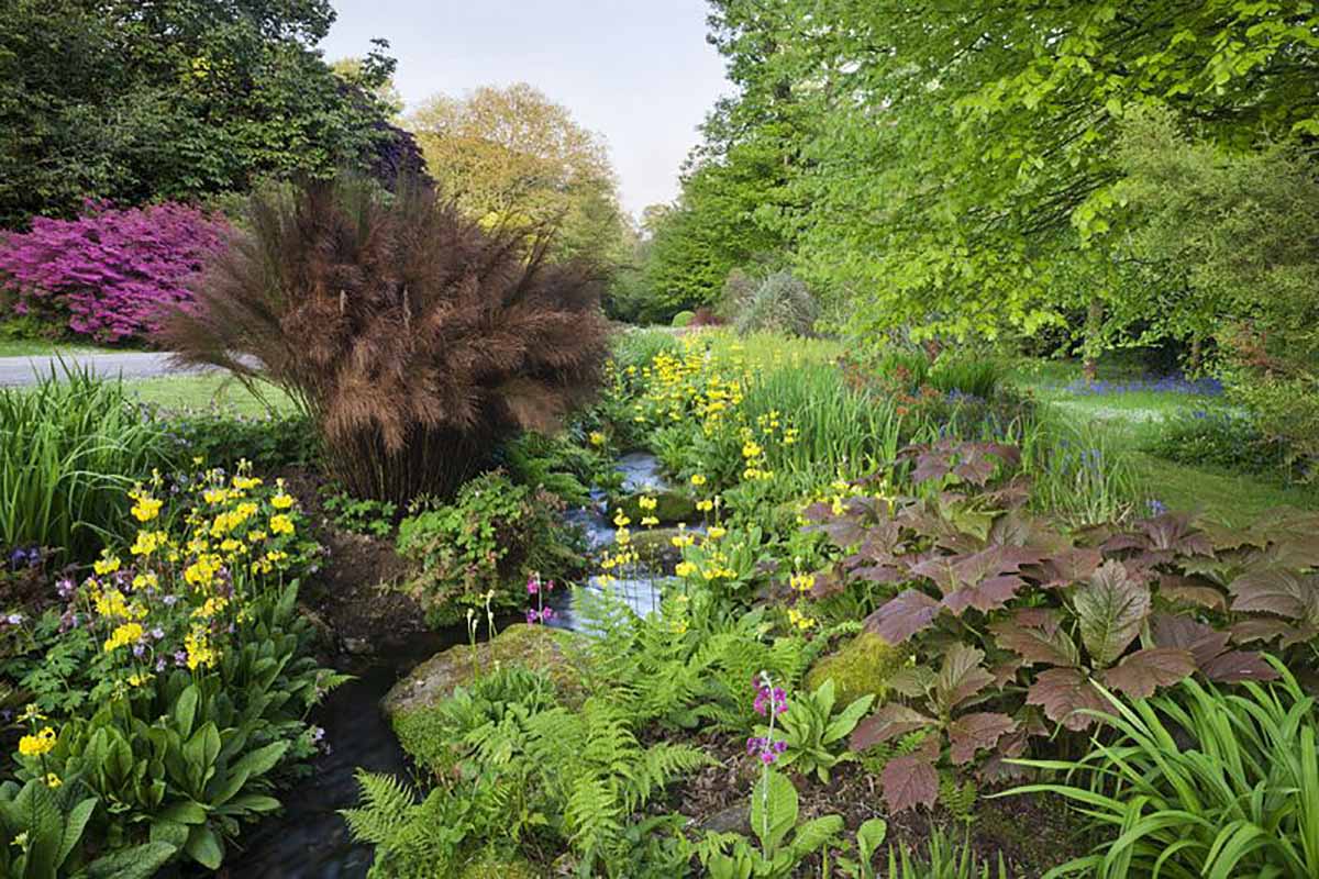 Our 10 favourite Cornish gardens, the best gardens to visit on holiday ...